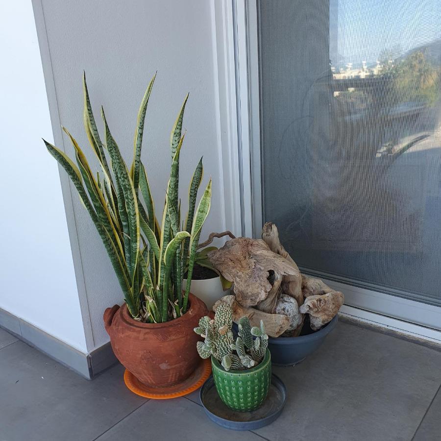 Latchi Ithaki, 2 Bedroom Penthouse מראה חיצוני תמונה
